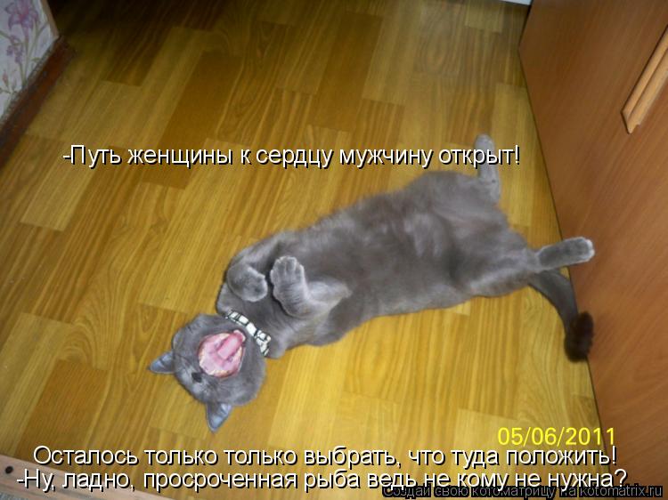 Котоматрица: -Путь женщины к сердцу мужчину открыт! Осталось только только выбрать, что туда положить! -Ну, ладно, просроченная рыба ведь не кому не нужна?
