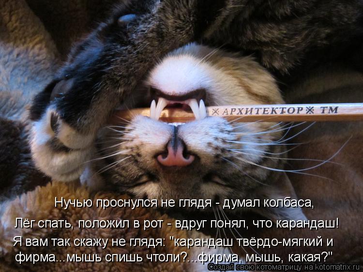 Котоматрица: Нучью проснулся не глядя - думал колбаса, Лёг спать, положил в рот - вдруг понял, что карандаш! Я вам так скажу не глядя: "карандаш твёрдо-мягки