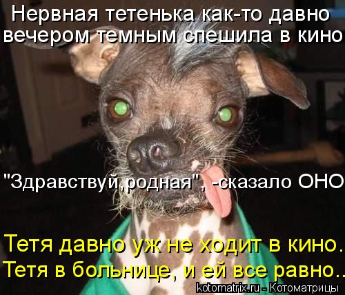 Котоматрица: Нервная тетенька как-то давно вечером темным спешила в кино. "Здравствуй,родная", -сказало ОНО. Тетя давно уж не ходит в кино... Тетя в больниц