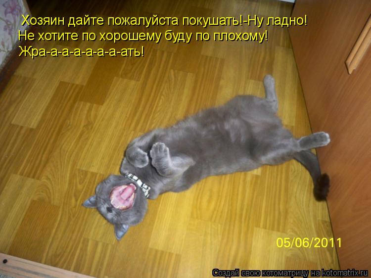 Котоматрица: Хозяин дайте пожалуйста покушать!-Ну ладно! Не хотите по хорошему буду по плохому! Жра-а-а-а-а-а-а-ать!
