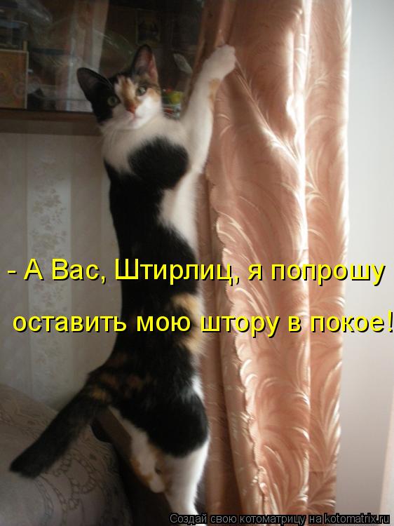 Котоматрица: - А Вас, Штирлиц, я попрошу оставить мою штору в покое!