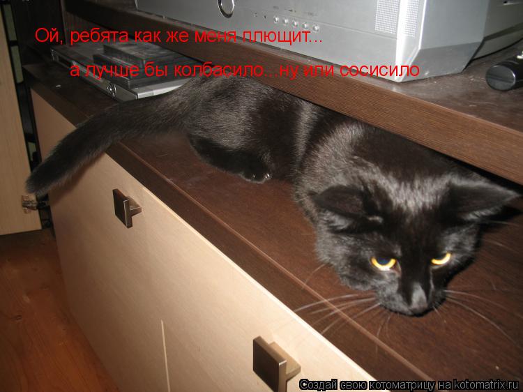 Котоматрица: Ой, ребята как же меня плющит... а лучше бы колбасило...ну или сосисило