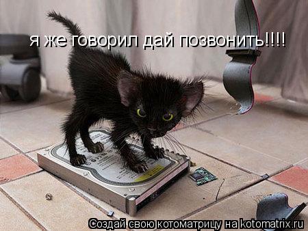 я же говорил дай позвонить!!!!... Котоматрица: я же говорил дай позвонить!!!!