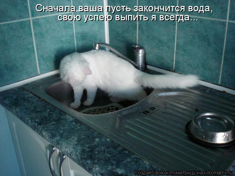 Котоматрица: Сначала ваша пусть закончится вода, свою успею выпить я всегда...