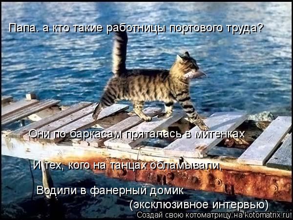 Папа. а кто такие работницы портового труда? Они по баркасам пряталась в митенках И тех, кого на танц... Котоматрица: Папа. а кто такие работницы портового труда? Они по баркасам пряталась в митенках И тех, кого на танцах обламывали, Водили в фанерный домик (