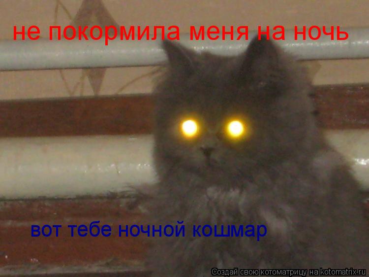 Котоматрица: не покормила меня на ночь вот тебе ночной кошмар