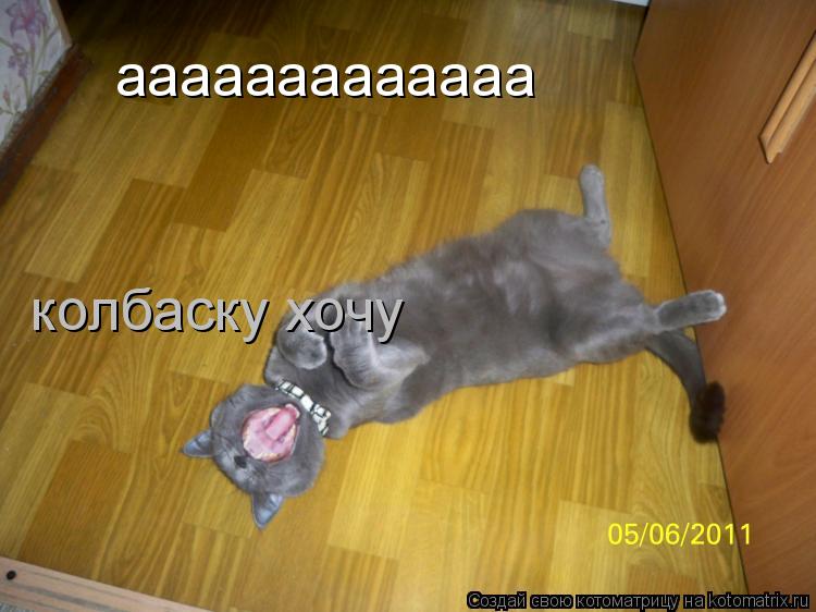 Котоматрица: ааааааааааааа колбаску хочу