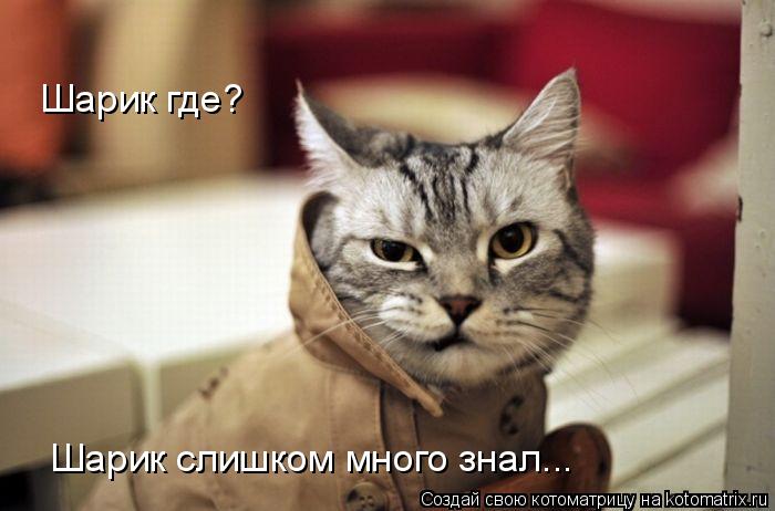 Котоматрица: Шарик слишком много знал... Шарик где?