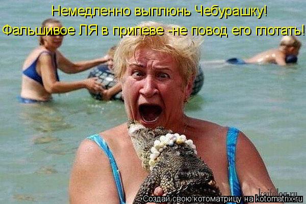 Котоматрица: Немедленно выплюнь Чебурашку! Фальшивое ЛЯ в припеве -не повод его глотать!