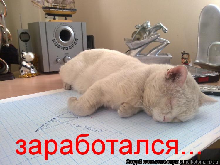 Котоматрица: заработался...