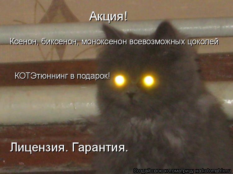 Акция! Лицензия. Гарантия. Ксенон, биксенон, моноксенон всевозможных цоколей КОТЭтюннинг в подарок!... Котоматрица: Акция! Лицензия. Гарантия. Ксенон, биксенон, моноксенон всевозможных цоколей КОТЭтюннинг в подарок!