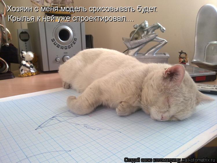 Хозяин с меня модель срисовывать будет. Крылья к ней уже спроектировал....... Котоматрица: Хозяин с меня модель срисовывать будет. Крылья к ней уже спроектировал....