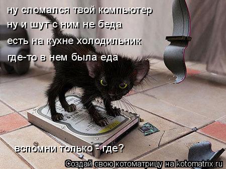 ну сломался твой компьютер ну и шут с ним не беда есть на кухне холодильник где-то в нем была еда всп... Котоматрица: ну сломался твой компьютер ну и шут с ним не беда есть на кухне холодильник где-то в нем была еда вспомни только - где?