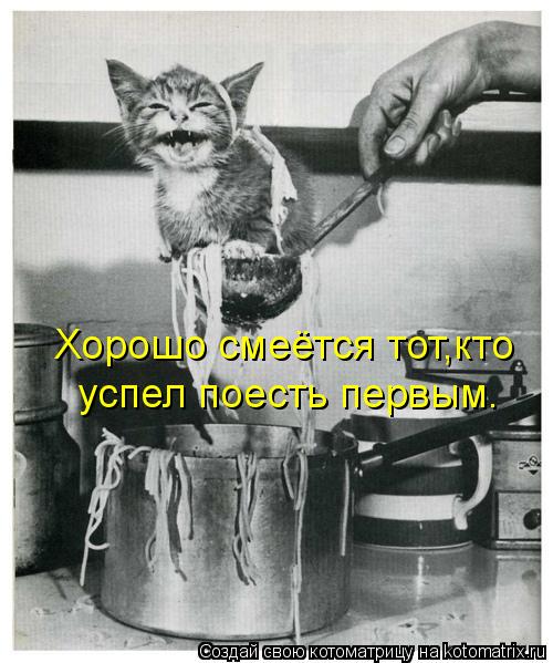 Хорошо смеётся тот,кто успел поесть первым.... Котоматрица: Хорошо смеётся тот,кто успел поесть первым.