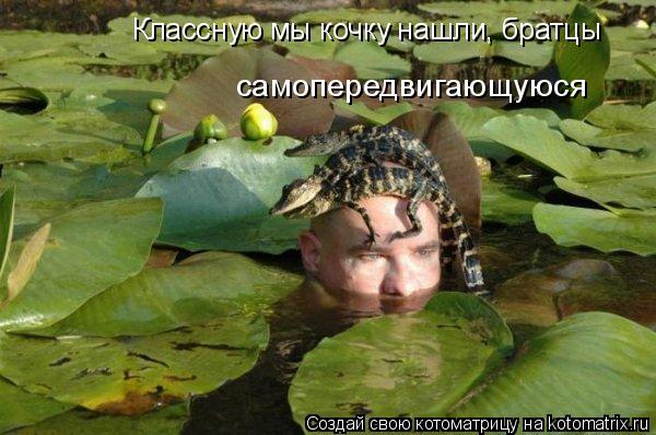 Классную мы кочку нашли, братцы самопередвигающуюся... Котоматрица: Классную мы кочку нашли, братцы самопередвигающуюся