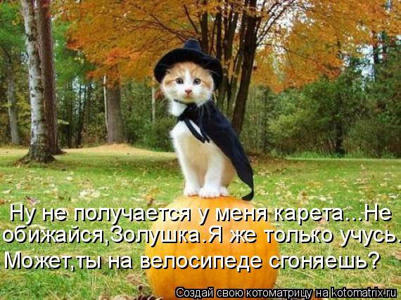 Котоматрица: Ну не получается у меня карета...Не Может,ты на велосипеде сгоняешь? обижайся,Золушка.Я же только учусь.