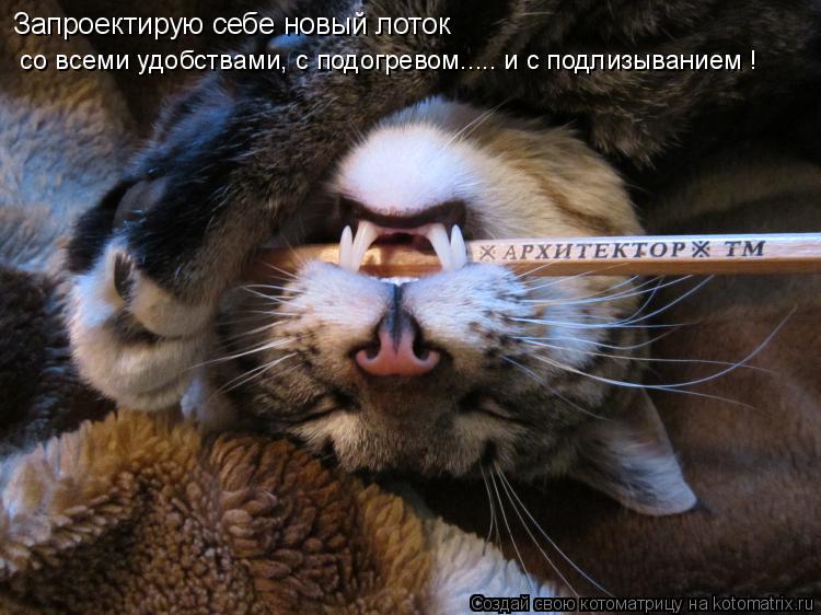 Запроектирую себе новый лоток со всеми удобствами, с подогревом..... и с подлизыванием !... Котоматрица: Запроектирую себе новый лоток со всеми удобствами, с подогревом..... и с подлизыванием !