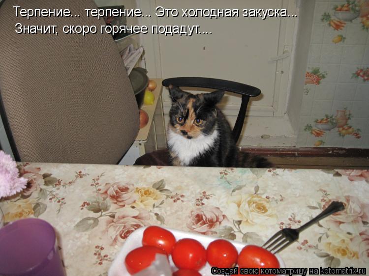 Терпение... терпение... Это холодная закуска... Значит, скоро горячее подадут....... Котоматрица: Терпение... терпение... Это холодная закуска... Значит, скоро горячее подадут....