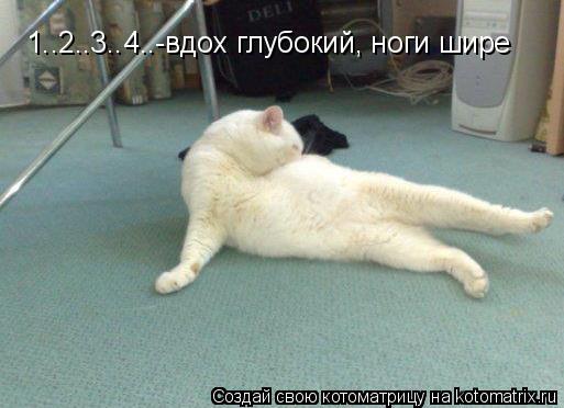 1..2..3..4..-вдох глубокий, ноги шире... Котоматрица: 1..2..3..4..-вдох глубокий, ноги шире