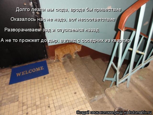 Долго лезли мы сюда, вроде бы привествие Оказалось нас не надо, вот несоответствие Разворачиваем зад ... Котоматрица: Долго лезли мы сюда, вроде бы привествие Оказалось нас не надо, вот несоответствие Разворачиваем зад и спускаемся назад А не то прожжет до д