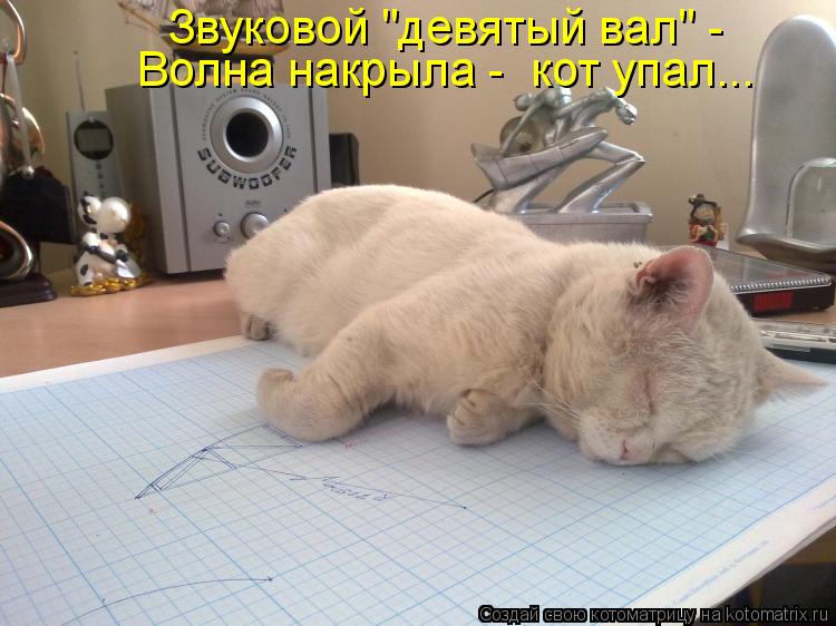 Звуковой "девятый вал" - Волна накрыла - кот упал...... Котоматрица: Звуковой "девятый вал" - Волна накрыла - кот упал...