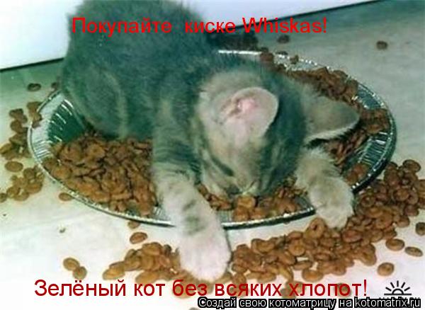 Покупайте киске Whiskas! Зелёный кот без всяких хлопот!... Котоматрица: Покупайте киске Whiskas! Зелёный кот без всяких хлопот!