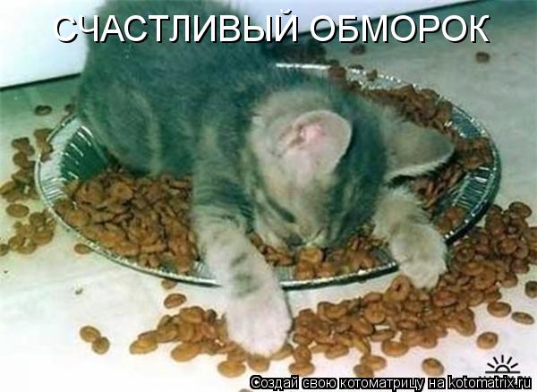 СЧАСТЛИВЫЙ ОБМОРОК... Котоматрица: СЧАСТЛИВЫЙ ОБМОРОК