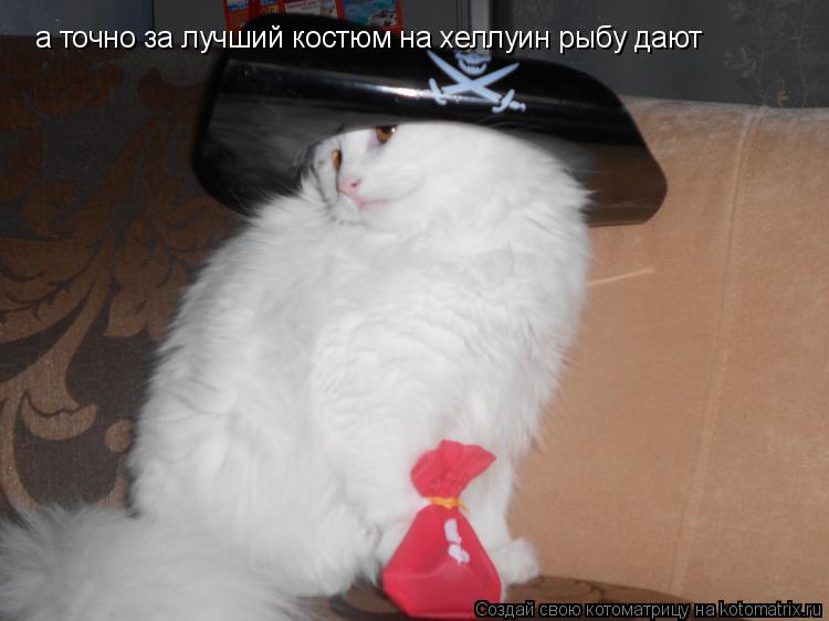 а точно за лучший костюм на хеллуин рыбу дают... Котоматрица: а точно за лучший костюм на хеллуин рыбу дают