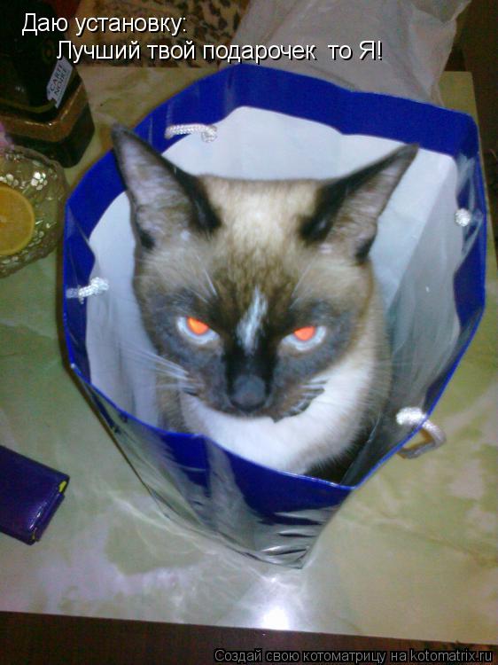 Даю установку: Лучший твой подарочек єто Я!... Котоматрица: Даю установку: Лучший твой подарочек єто Я!