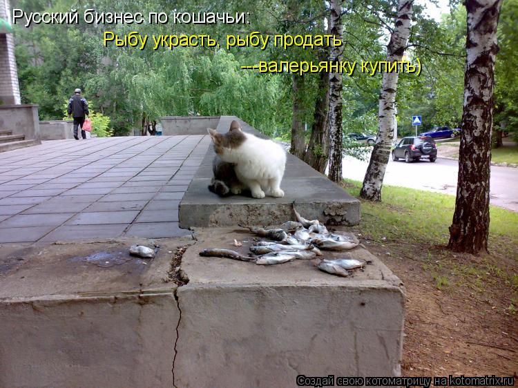 Русский бизнес по кошачьи: Рыбу украсть, рыбу продать ---валерьянку купить)... Котоматрица: Русский бизнес по кошачьи: Рыбу украсть, рыбу продать ---валерьянку купить)