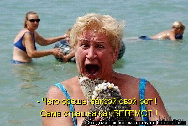 - Чего орешь, закрой свой рот ! Сама страшна как БЕГЕМОТ !... Котоматрица: - Чего орешь, закрой свой рот ! Сама страшна как БЕГЕМОТ !