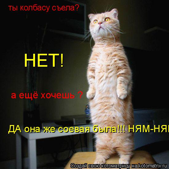 ты колбасу съела? НЕТ! а ещё хочешь ? ДА она же соевая была!!! НЯМ-НЯМ... Котоматрица: ты колбасу съела? НЕТ! а ещё хочешь ? ДА она же соевая была!!! НЯМ-НЯМ
