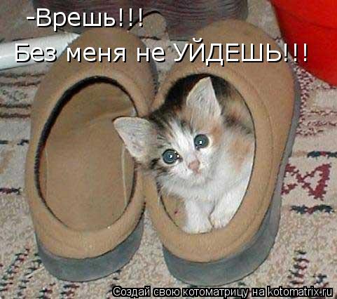 -Врешь!!! Без меня не УЙДЕШЬ!!!... Котоматрица: -Врешь!!! Без меня не УЙДЕШЬ!!!