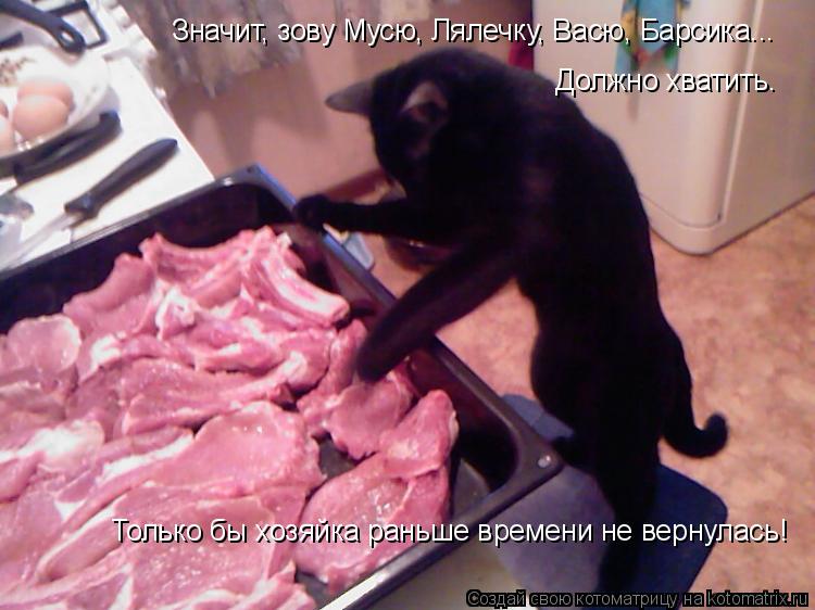 Котоматрица: Значит, зову Мусю, Лялечку, Васю, Барсика... Должно хватить. Только бы хозяйка раньше времени не вернулась!