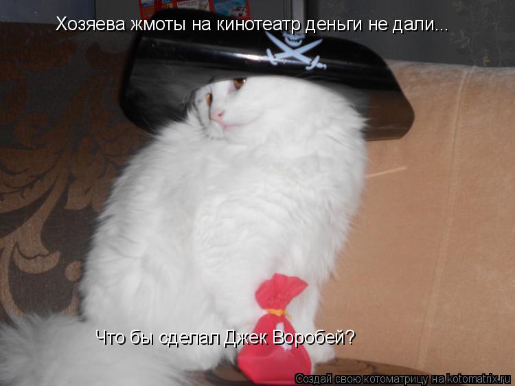 Котоматрица: Хозяева жмоты на кинотеатр деньги не дали... Что бы сделал Джек Воробей?