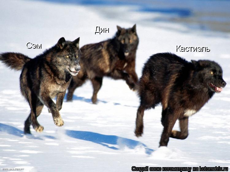 Котоматрица: Сэм Дин Кастиэль