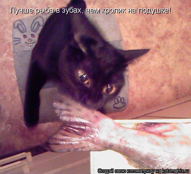 Котоматрица: Лучше рыба в зубах, чем кролик на подушке!