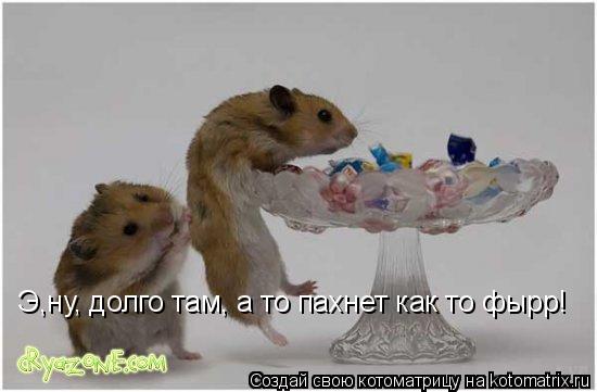 Котоматрица: Э,ну, долго там, а то пахнет как то фырр!
