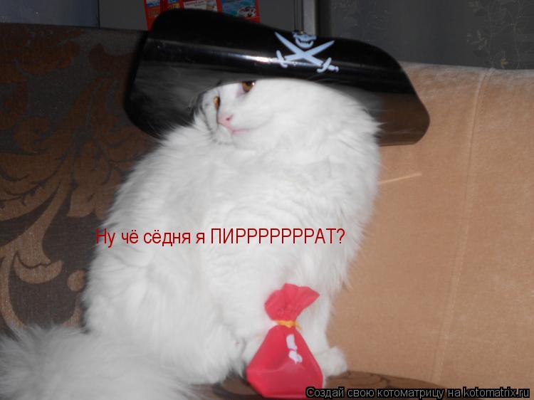 Котоматрица: Ну чё сёдня я ПИРРРРРРРАТ?