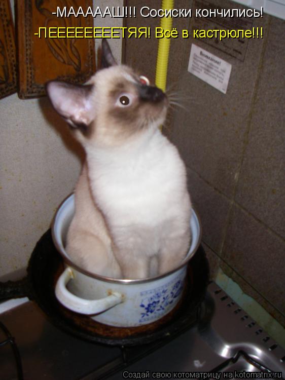 Котоматрица: -МАААААШ!!! Сосиски кончились! -ПЕЕЕЕЕЕЕЕТЯЯ! Всё в кастрюле!!!