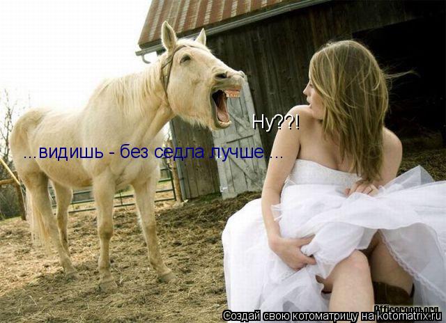 Котоматрица: Ну??! ...видишь - без седла лучше....