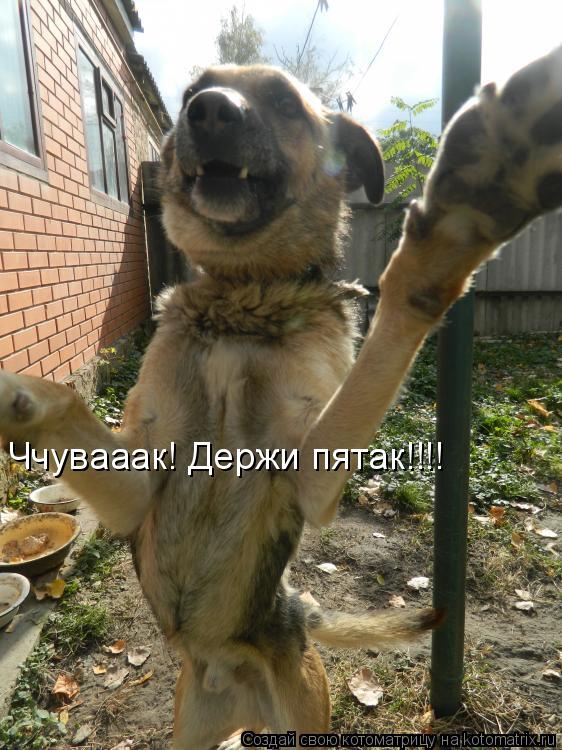 Котоматрица: Ччувааак! Держи пятак!!!!