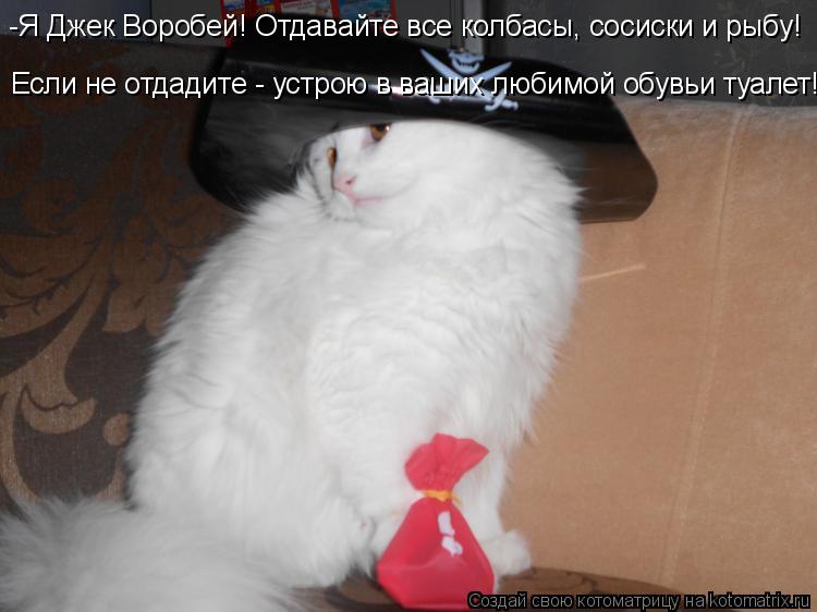 Котоматрица: -Я Джек Воробей! Отдавайте все колбасы, сосиски и рыбу! Если не отдадите - устрою в ваших любимой обувьи туалет!