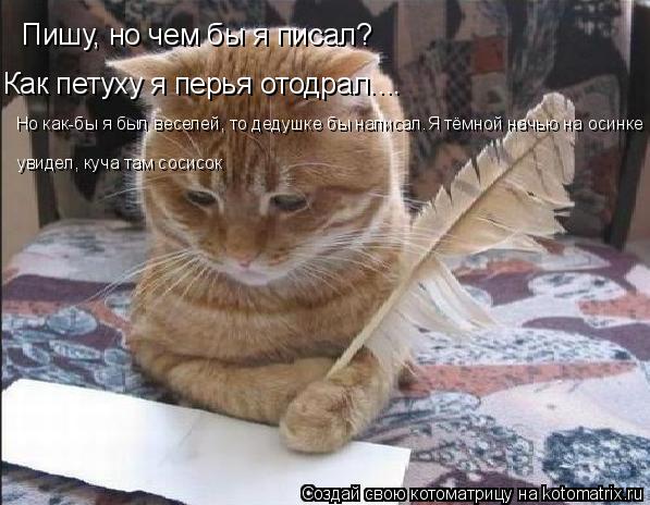 Котоматрица: Пишу, но чем бы я писал? Как петуху я перья отодрал.... Но как-бы я был веселей, то дедушке бы написал.Я тёмной начью на осинке увидел, куча там с