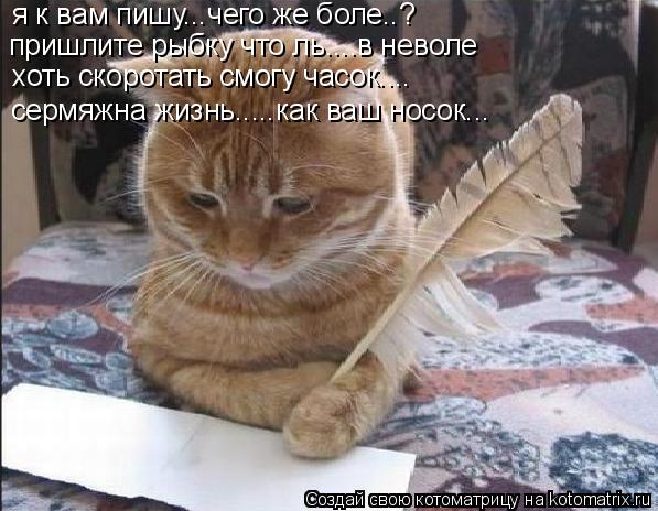 Котоматрица: я к вам пишу...чего же боле..? пришлите рыбку что ль....в неволе хоть скоротать смогу часок.... сермяжна жизнь.....как ваш носок...