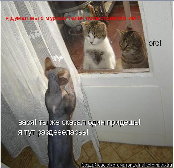 Котоматрица: вася! ты же сказал один придешь! я тут раздеееласьь! ого! я думал мы с мурзом телик посмотрим им им !