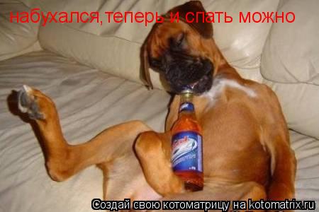 Котоматрица: набухался,теперь и спать можно