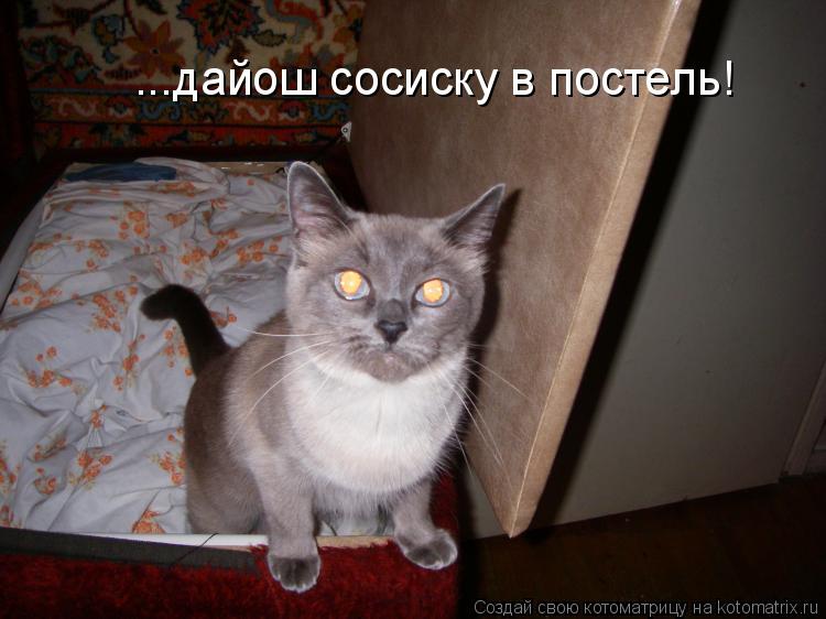 Котоматрица: ...дайош сосиску в постель!