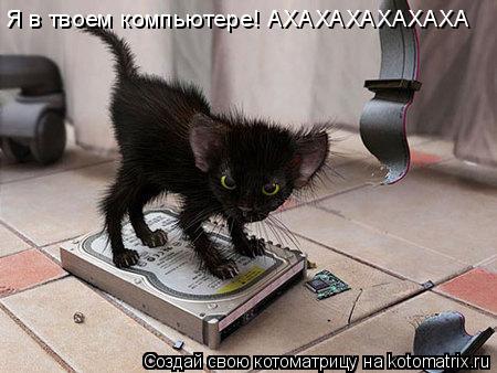 Котоматрица: Я в твоем компьютере! АХАХАХАХАХАХА