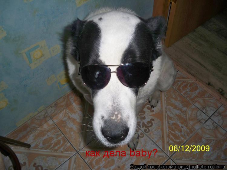 Котоматрица: как дела baby?
